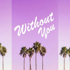 WITHOUT YOU - Demi Lovato, Meghan Trainor Type Beat