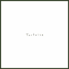 Tortoise