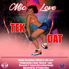 Tek Dat - Mic Love [Carnival 2018 Release]
