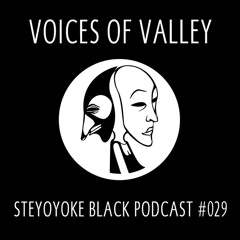 Voices Of Valley - Steyoyoke Black Podcast #029