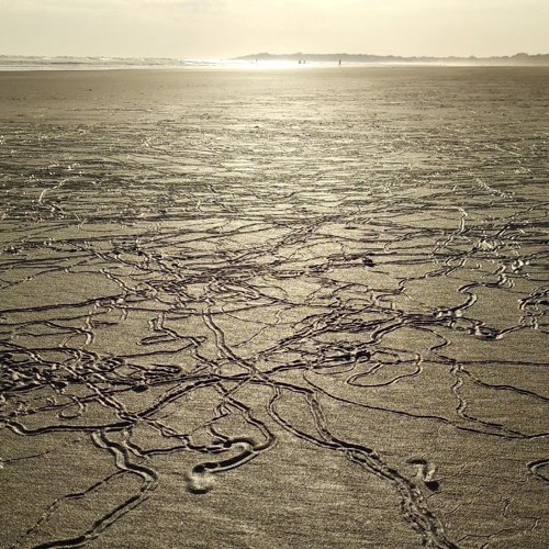 X-Mike - Desert Rhythms #1