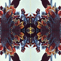 Setu - Jungle Boogie Too