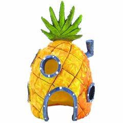 PINEAPPLE EXPRESS w/ Sad nigga  [Prod. AkanniBeats] (2017)