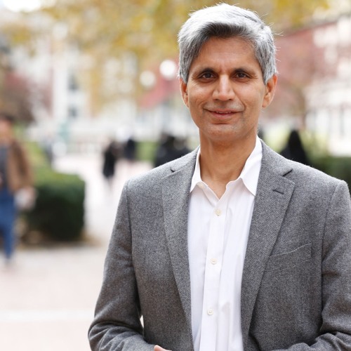 Stream episode Professor Hitendra Wadhwa — Part II: The Five Pillars of ...