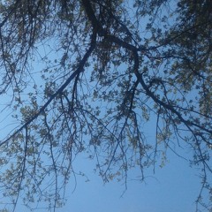 HOJO MEDIO HABIERTO Ft. Sebastian Valderrama (RE MAZTER )