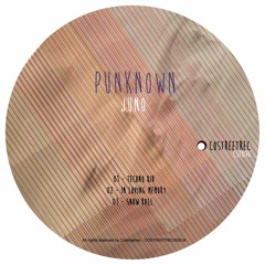 CST016 - PUNKNOWN - JUNO EP