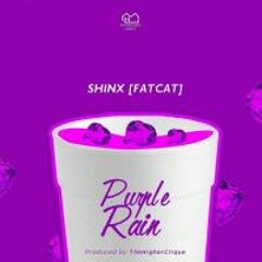 PURPLE RAIN (Prod. TheHigherClique)