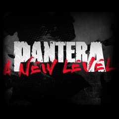 Pantera - A New Level (Guitar Cover) Randall RG3003