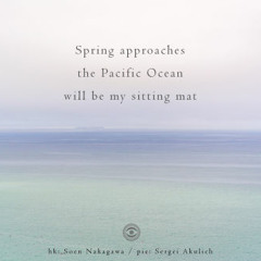 spring approaches   (Naviarhaiku 221)