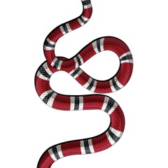 Gucci (Prod. Kid Ocean)