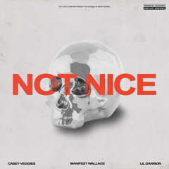 Not Nice ft. Casey Veggies & Lil Darrion (prod. Artem)