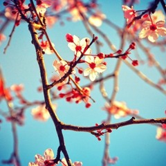 DJ WHO & Neoverse - REMIX - Aya Ueto