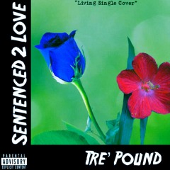 Sentenced 2 Love (A Living Single Cover)