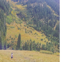 Bloodshot Eyes (Trampled By Turtles Cover)