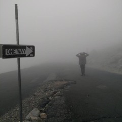 Selective Perception