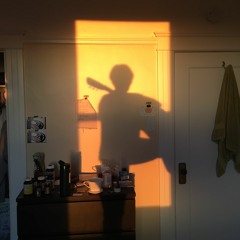 Me, Library Volunteer