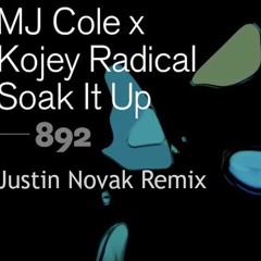 MJ Cole X Kojey Radical - Soak It Up (Justin Novak Remix)
