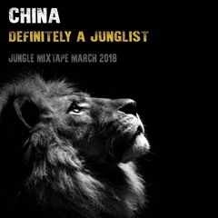 China - Definitely a Junglist - Raggajungle.biz 2018 Mix of the Year