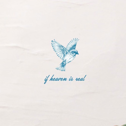 if heaven is real (Feat. Jayho)