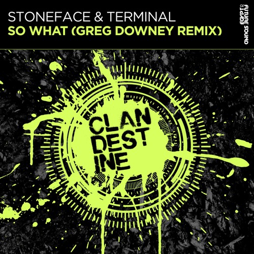 Stoneface & Terminal - So What (Greg Downey Remix) [FSOE Clandestine]