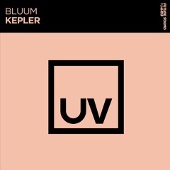 Bluum - Kepler [FSOE UV]