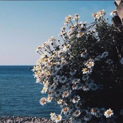 SӍIR∆ - Influx