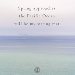 halF sittinG [naviarhaiku221]