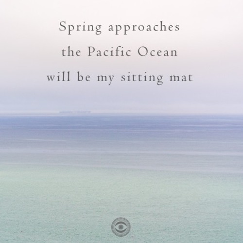 halF sittinG [naviarhaiku221]