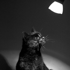 vietmix trung nguyen