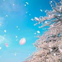 Cherry blossom world /organic EDM