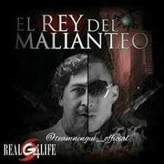Ñengo Flow✖ El Rey Del Malianteo✖🔫