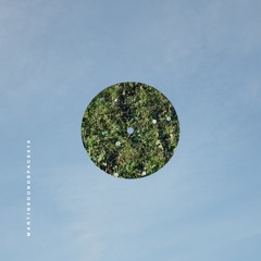 MARTIN SOUND SPACE 018