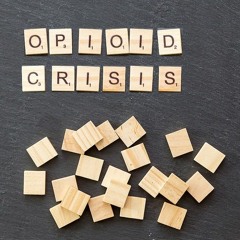 Interview with Dr. Lee Hoffer about the anthropology of the opioid crisis