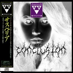 8 - CONCLUS1ON - [ƹxȼrƹsȼenȼƹ]