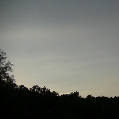 Stars (and Shit Shows)