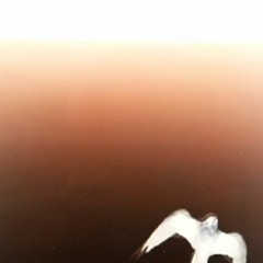 immaculate deception