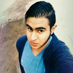 مهرجان الجمل طلع النخلة الجزاء الاول