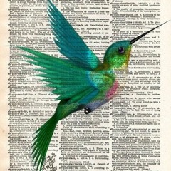 Hummingbird