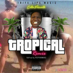 Collin Foxworth - Tropical Freestyle (reProd By PEEPTHEWAVES)