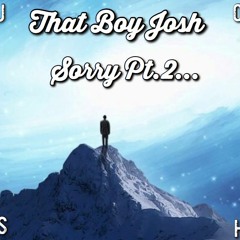 Sorry Pt.2 (prod. by ThaKidDJL)