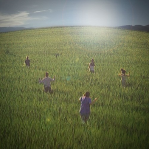 Spring Harvest Sun Edit (Donna Lewis > Oli XL > 703)