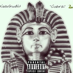 #CGWILL x Cobra(BlockBoy JB x Rover) x GroveMix