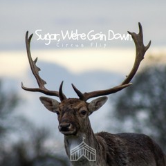 Fall Out Boy- Sugar, We're Goin Down (Circus Flip)