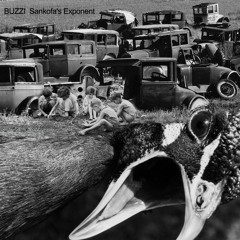 BUZZI - Not.human