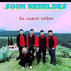 Son rebeldes en vivo🍺😃