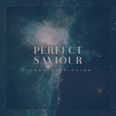 Perfect Saviour - Single