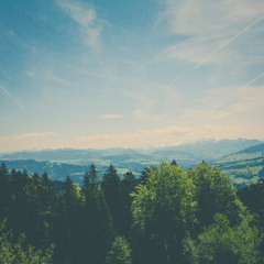 afternoons.
