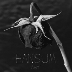 Hansum - Why (Prod. By KingWillMusic)