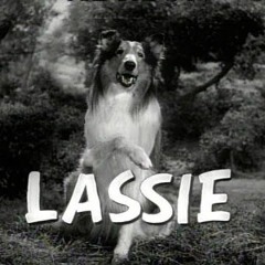 Lassie - The Blind Dog (Chuukese radio drama)