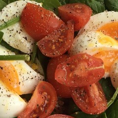 SOUTHERN SOFTIES - EGGPLANT